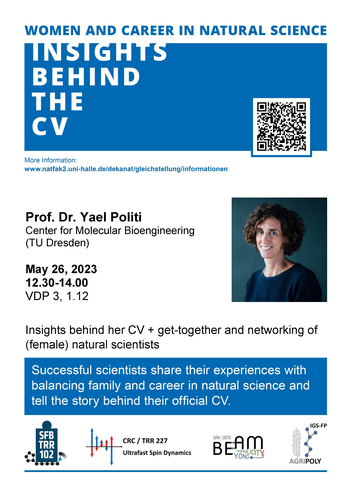 Flyer Yael Politi