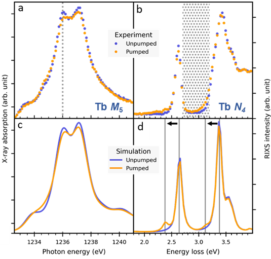 Fig1_Sci_Adv_Optical-control-4f