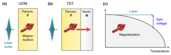 Fig. 2 - Ultrafast demagnetization (UDM)  and THz spin transport (TST) 