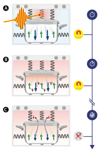 Figure: Heating a magnet without changing its magnetization