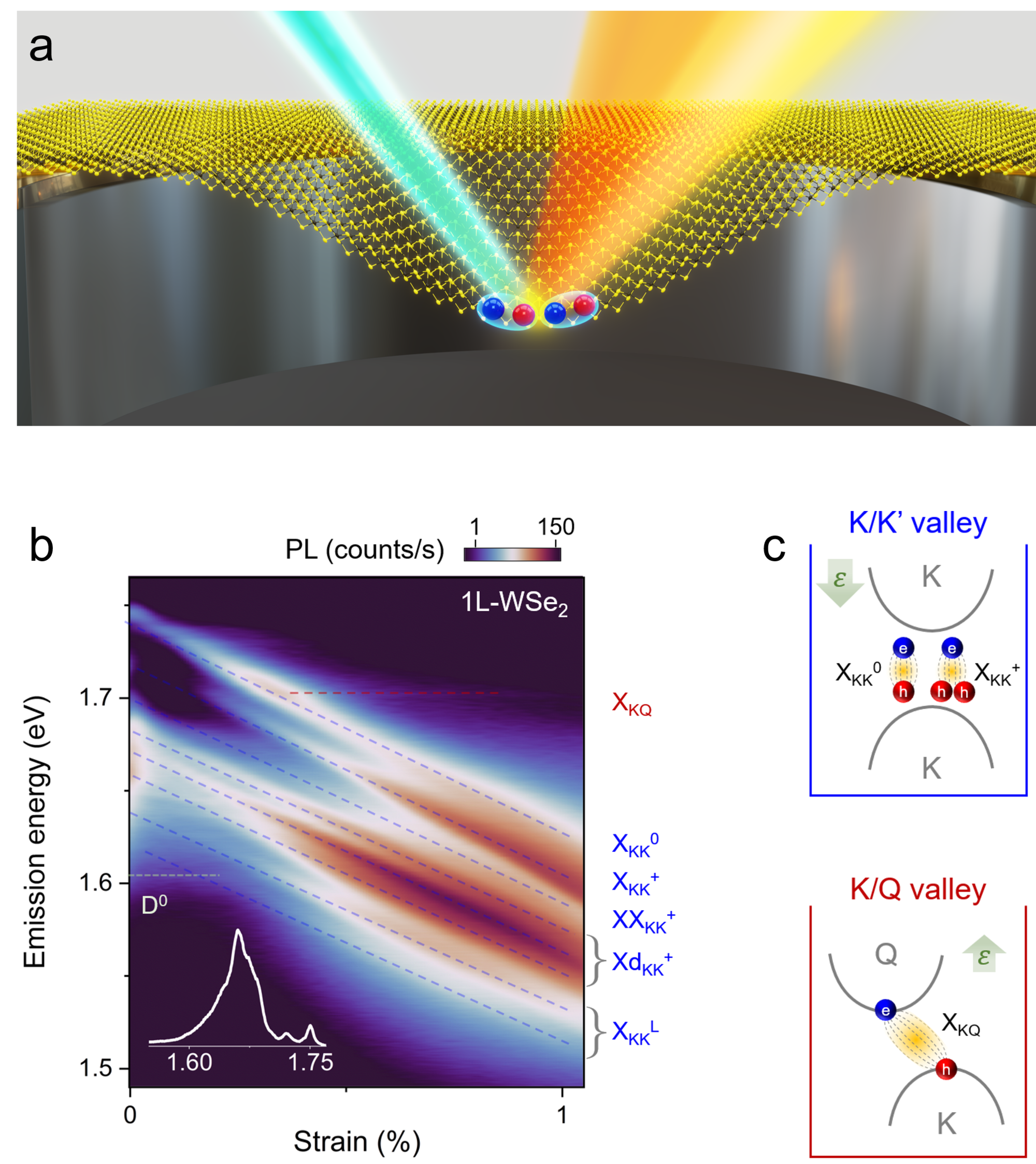 Fig_exciton-valey-character_B08-07_Nat-Commun2024