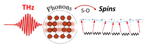 Spin-phonon interaction