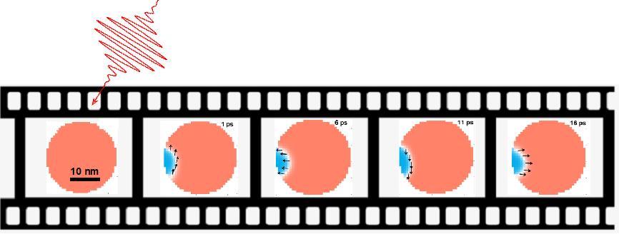 Snapshots soliton-like spin motion