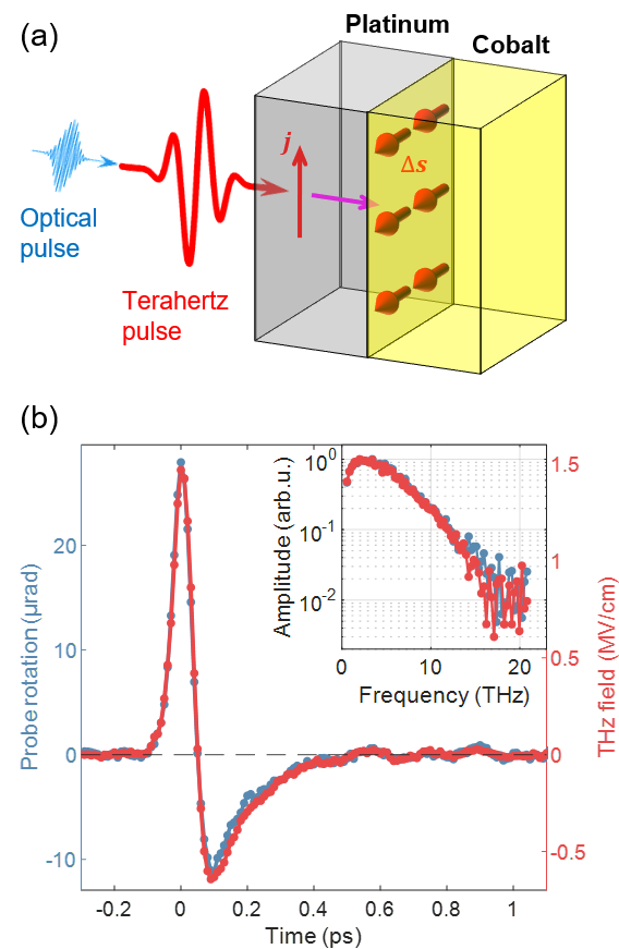 Figure_Sci_Adv_A05_Chekhov-et-al