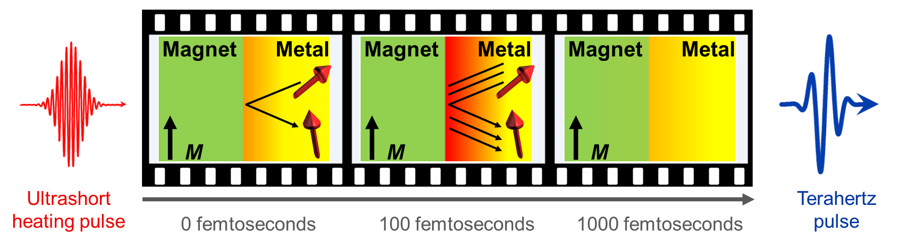 Figure: Watching the ultrafast spin Seebeck effect