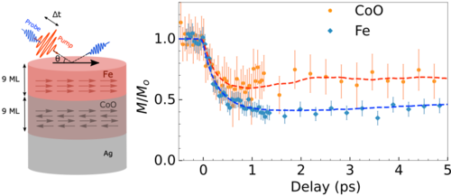 PRL by C. S. Awsaf et al. - Mar. 2026