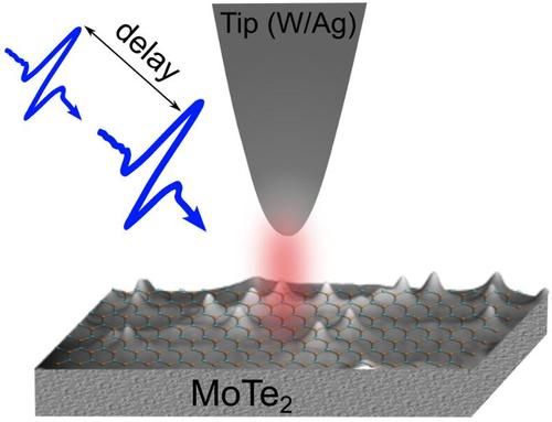 Sci.Adv. by V.M. Rai et al. - Dec. 2025 