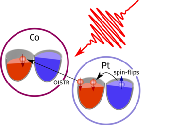 Optical intersite spin transport (OISTR) can occur when suitable atoms of different types are adjacent in a solid. A light pulse may trigger a displacement of electrons from one atom to its neighbor. - © MBI
