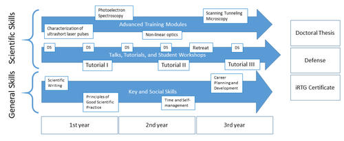 Suggested working plan 