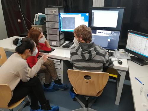 ATM - Visualizing all optical switching via femtosecond Faraday microscopy