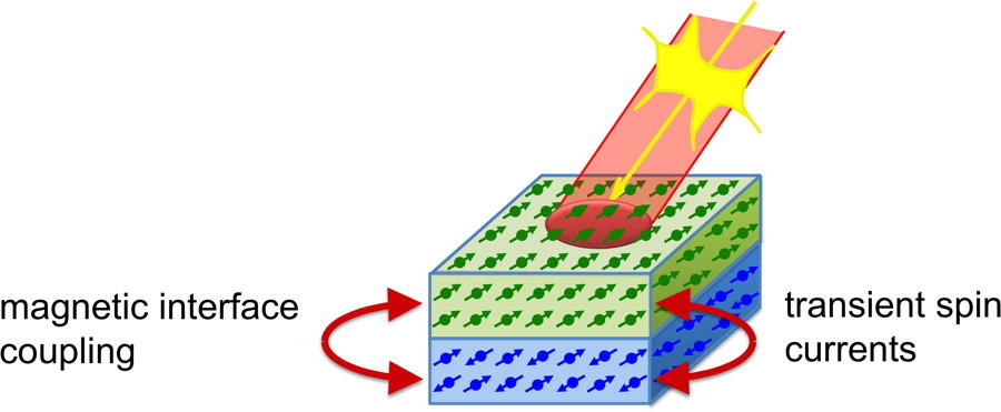 Role of interface of layered systems