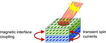 Role of interface of layered systems